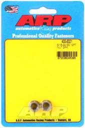 ARP 5/16 x 24 SS 12pt Nut Kit - 400-8321