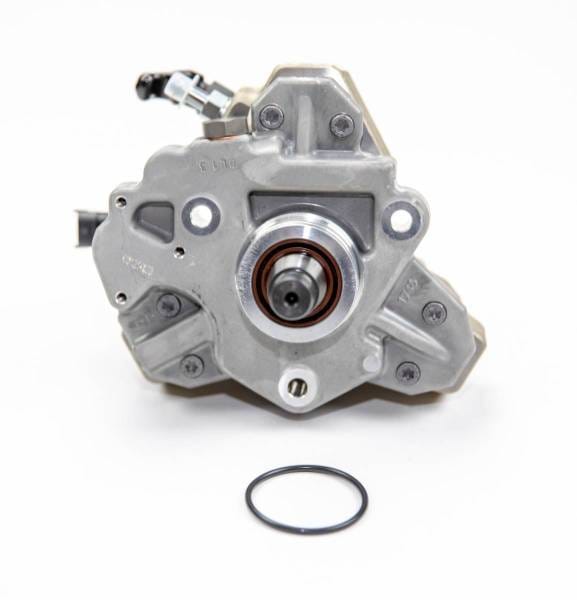 DDP LBZ/LMM Sportzman CP3 - D03-C001-105