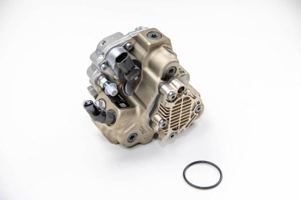 DDP LBZ/LMM Sportzman CP3 - D03-C001-105 thumbnail 4